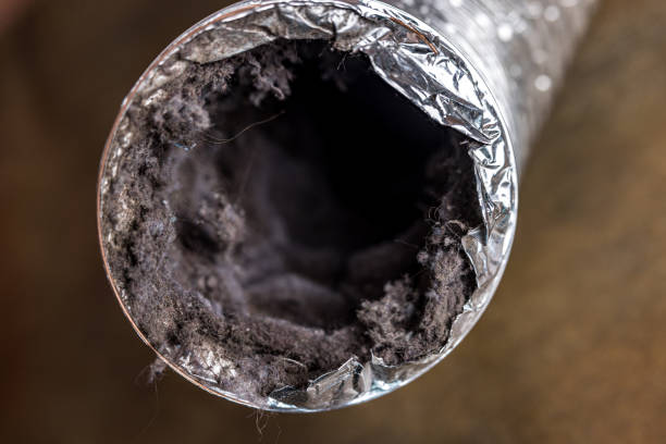 Best Ductwork Cleaning Services  in Dunsmuir, CA